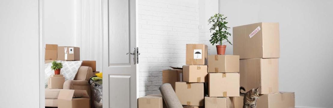 Movers And Packers In Dubai