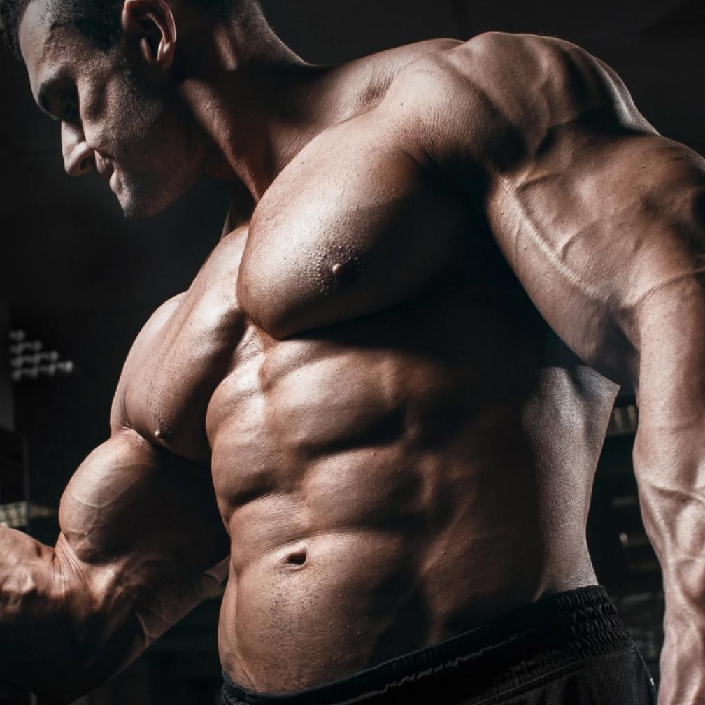 Pharamaqous Pharamaqous