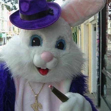 Pimp Bunny
